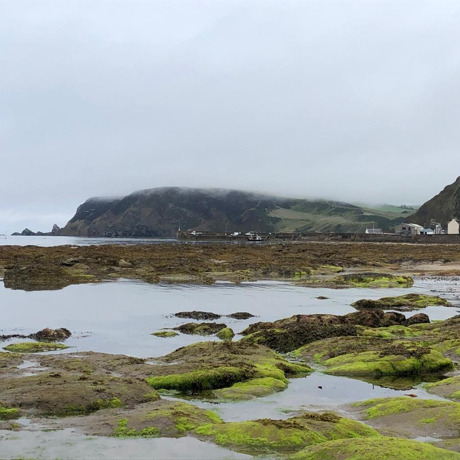 Puffins Nest Villa Gardenstown Kültér fotó